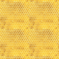 Honey - Honey Bee Farm